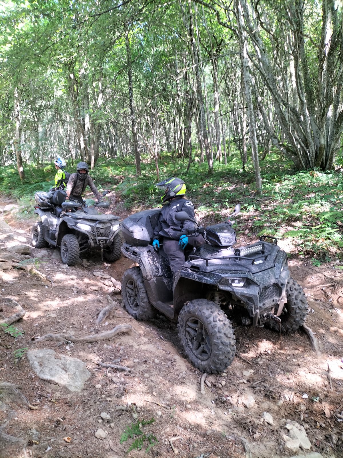 Deux pilotes en quad sur un chemin rocheux en forêt en Auvergne