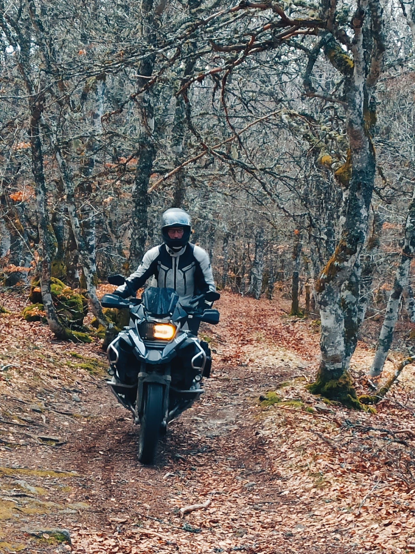 Week-end Trail et Maxi-trail SENIOR en Auvergne / Repas du terroir 2026