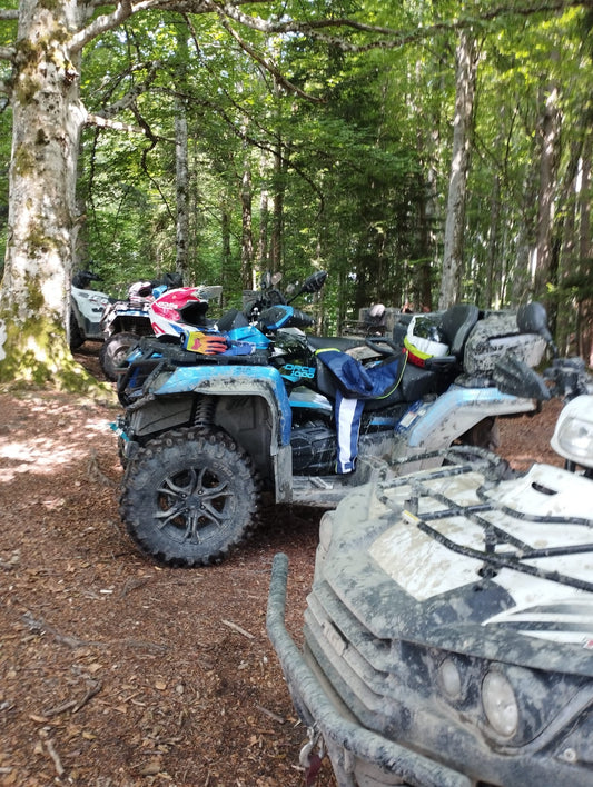 Participants et quads réunis dans une forêt en Auvergne