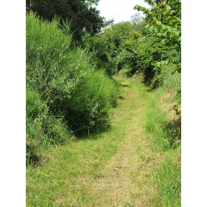 Week-end Trail et Maxi-Trail en  Auvergne / Repas terroir 2026