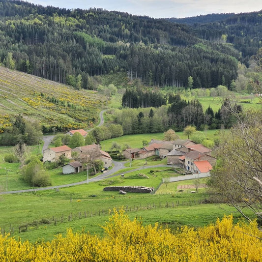 Week-end Enduro en Auvergne / Repas du terroir 2026